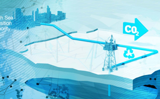 Carbon Storage image